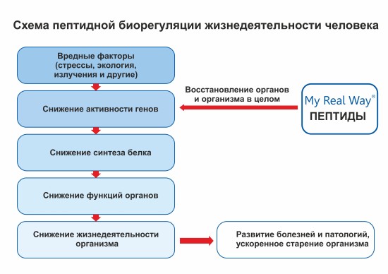 Преимущества пептидной терапии: